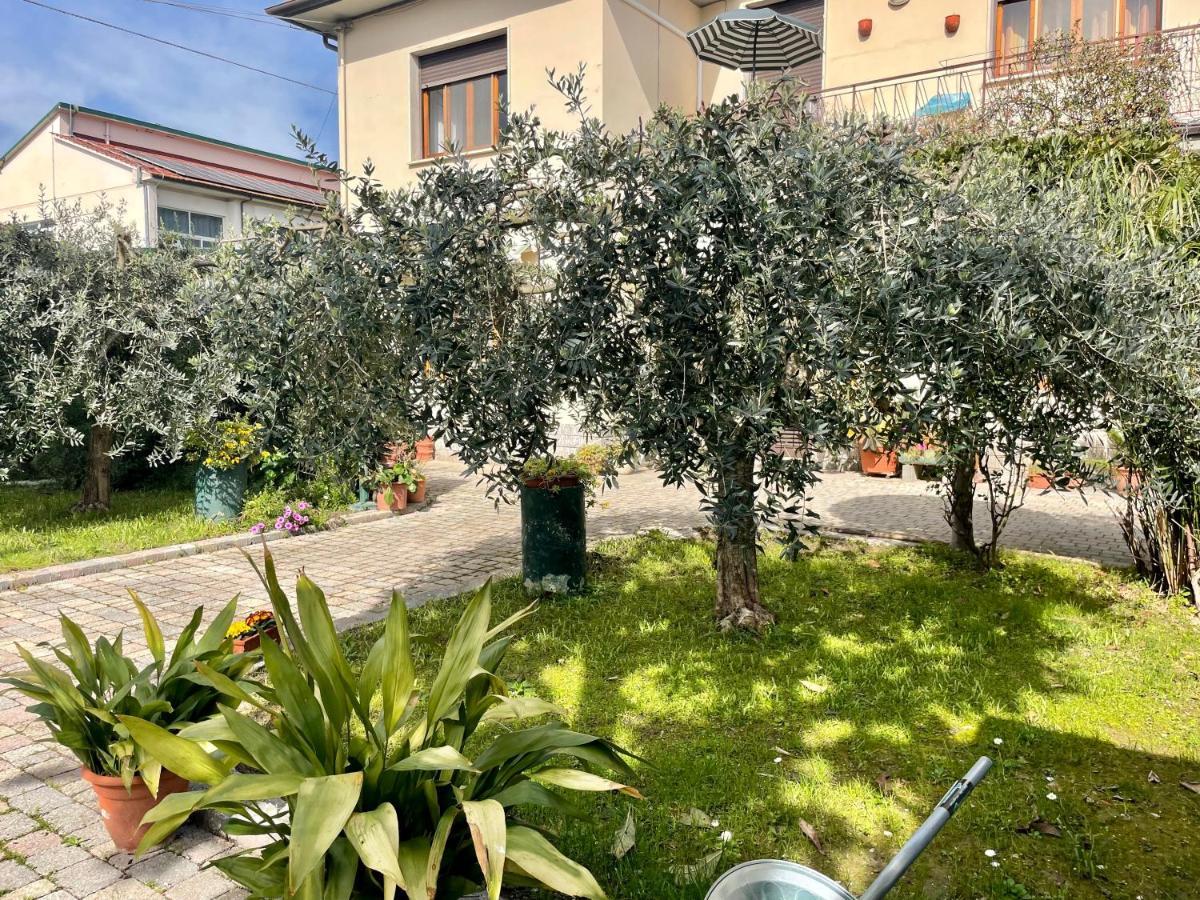 Casa La Palma Apartman Vecchiano Kültér fotó